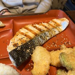 Oshima - Salmon