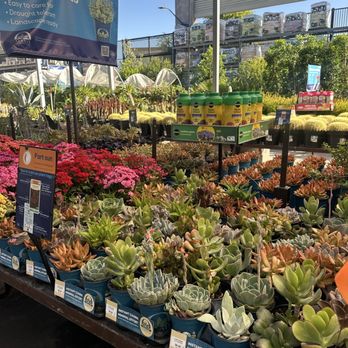 Lowe's Home Improvement - So beautiful, every time! - Hardware Stores Near Me - Gilbert, Arizona Lowe's Home Improvement - So beautiful, every time! - Hardware Stores Near Me - Gilbert, Arizona