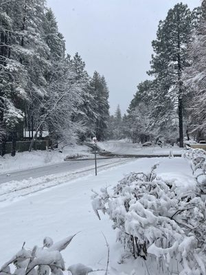 The Table at Junipine Resort by null