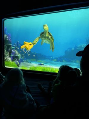 Turtle Talk with Crush by null