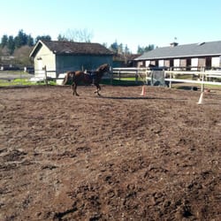 Valle Vista Stables