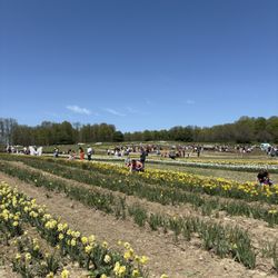 Timbuk Farms