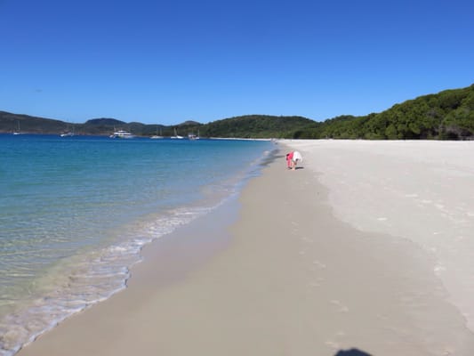 Whitehaven Beach by null