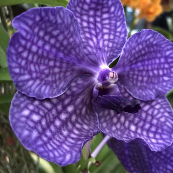 A Heavenly Garden - Nurseries & Gardening Near Me - Miami, Florida