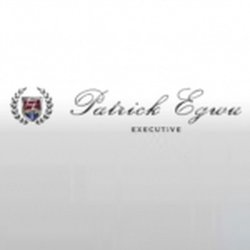Patrick Egwu Executive