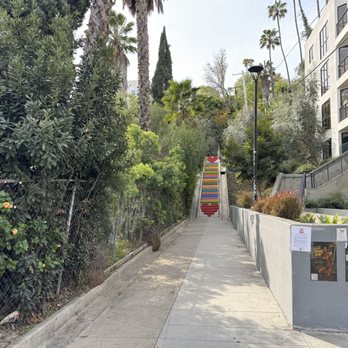 Micheltorena Stairs - Hiking Near Me - Los Angeles, California