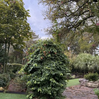 Hummingbird House - Venues & Event Spaces Near Me - Manchaca, Texas