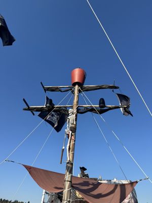 Emerald City Pirates by null