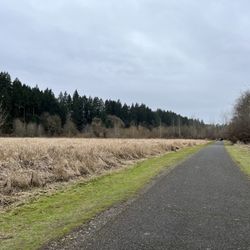 Salmon Creek Greenway Trail