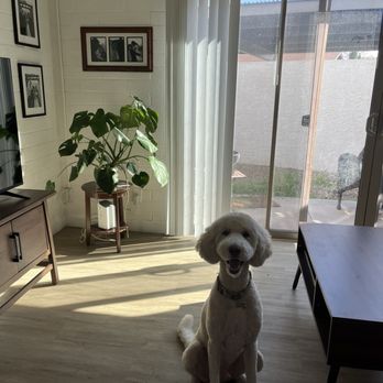 Silky Pet Spa - Pet Groomers Near Me - Scottsdale, Arizona Silky Pet Spa - Pet Groomers Near Me - Scottsdale, Arizona