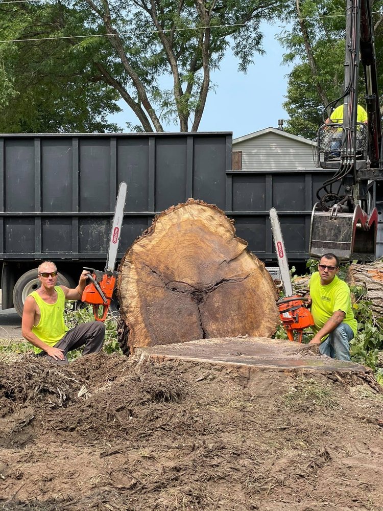 Allstate Tree Service - tree service in Fridley, MN