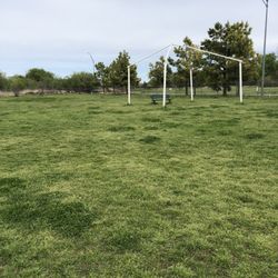 Wiggly Field - Dog park large side