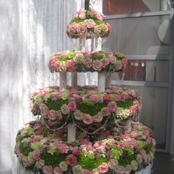 Holland Flower