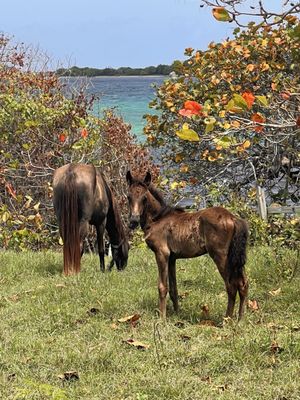 Blue Horizon Boutique Resort by null