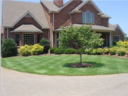 TruGreen - tree service in Gulfport, MS