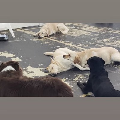 Crate Escape by null