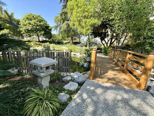 GARDEN ビューティフル Beautiful Come Tour My Garden in the Peak of Summer! ☀️ July Zone 9