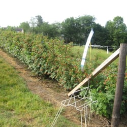 Lakeview Farms