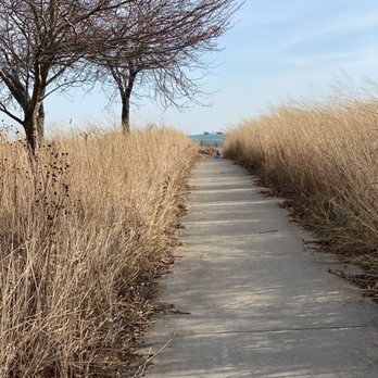 63rd St Beach 54 Photos Reviews Beaches 6300 S Lake Shore Dr Chicago Il Phone Number