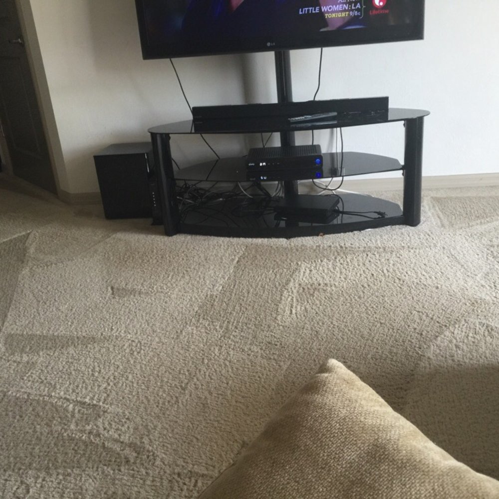 Maxy Max Carpet Cleaning - Living room looks brand new, especially with 3 young kids - Carpet Cleaning Near Me - Estero, Florida