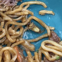 Beef Lo Mein with extra protein