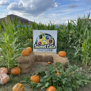 Sweet Eats Adventure Farm - Photo area at pumpkin patch - Attraction Farms Near Me - Georgetown, Texas