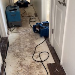 Denco GC & Restoration - Getting it dry