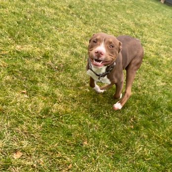 REI - Rochester - Skipper says thank you for pawsitively excellent service. - Sports Wear Near Me - Rochester, New York REI - Rochester - Skipper says thank you for pawsitively excellent service. - Sports Wear Near Me - Rochester, New York