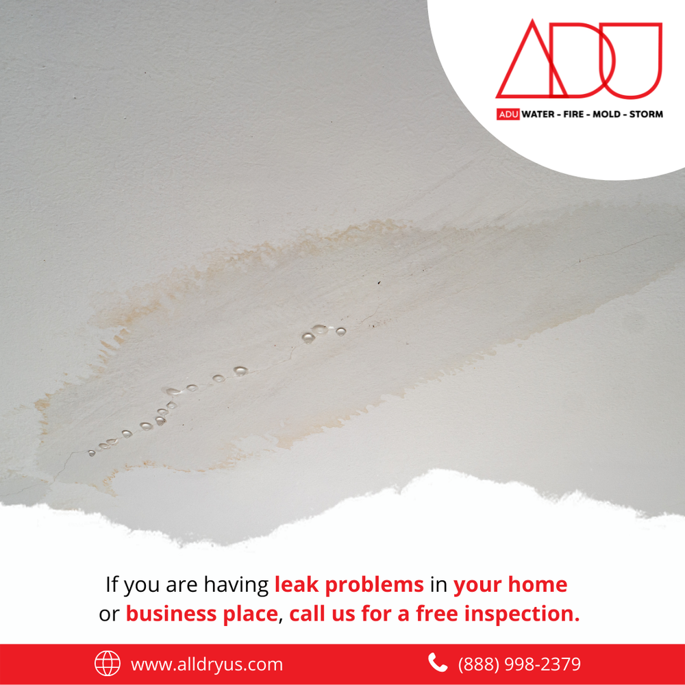 Slide of ADU Water Fire Mold Storm