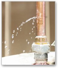 Dylan's - septic in Carrollton, TX