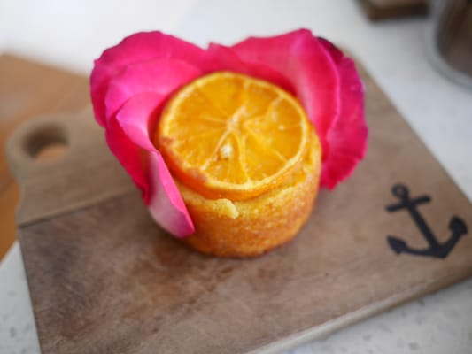 The Boathouse Shelly Beach by null