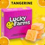 Photo of Lucky Farms - Riverside