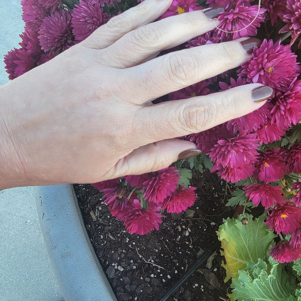 Nail Fantasy - Nail Salons Near Me - Lititz, Pennsylvania Nail Fantasy - Nail Salons Near Me - Lititz, Pennsylvania