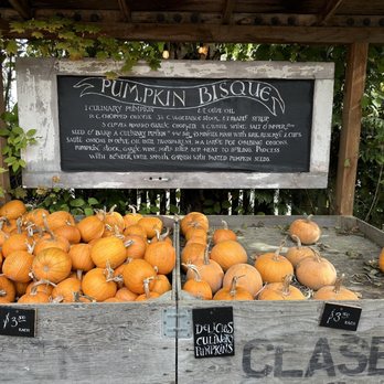 Gordon Skagit Farms - a display of pumpkins - Fruits & Veggies Near Me - Mount Vernon, Washington Gordon Skagit Farms - a display of pumpkins - Fruits & Veggies Near Me - Mount Vernon, Washington