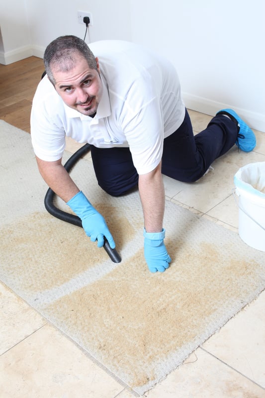 CARPET CLEANING DAGENHAM 10 Photos 69 Campden Crescent, Dagenham, London, United Kingdom