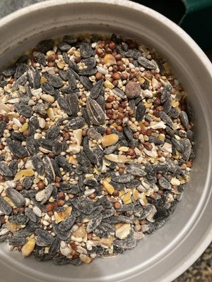 Decatur Ace Hardware