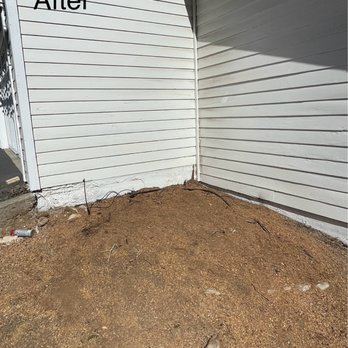 Santos Pena Tree Care and Services - After - fruitless pear removal and stump ground - Tree Services Near Me Santos Pena Tree Care and Services - After - fruitless pear removal and stump ground - Tree Services Near Me