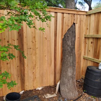 A Vision For U - 8' tall board on board cedar fence - General Contractors Near Me - Austin, Texas A Vision For U - 8' tall board on board cedar fence - General Contractors Near Me - Austin, Texas