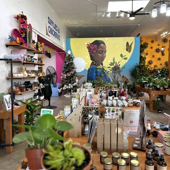 Plantiitas - planfs - Home Decor Near Me - Long Beach, California Plantiitas - planfs - Home Decor Near Me - Long Beach, California