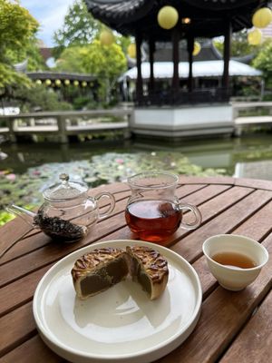 THE TAO OF TEA at Lan Su Chinese Garden by null