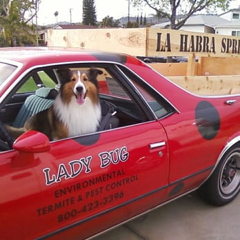 Lady Bugs Termite & Pest Control - Pet Friendly Alternatives - Pest Control Near Me - La Habra, California