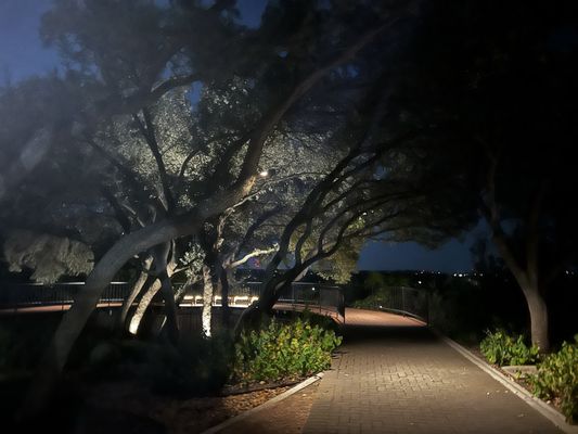 The Arboretum by null