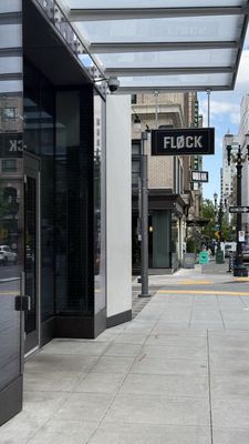 Flock by null