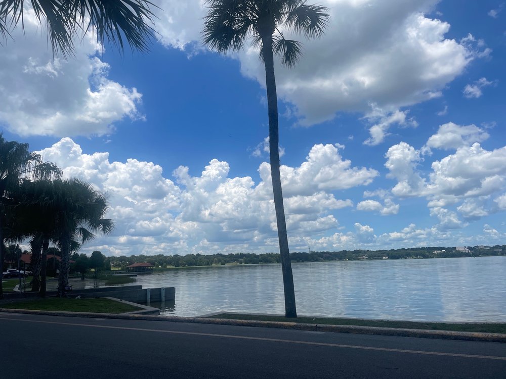 Lake Hollingsworth Image