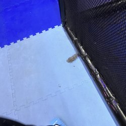 Urban Air Trampoline and Adventure Park