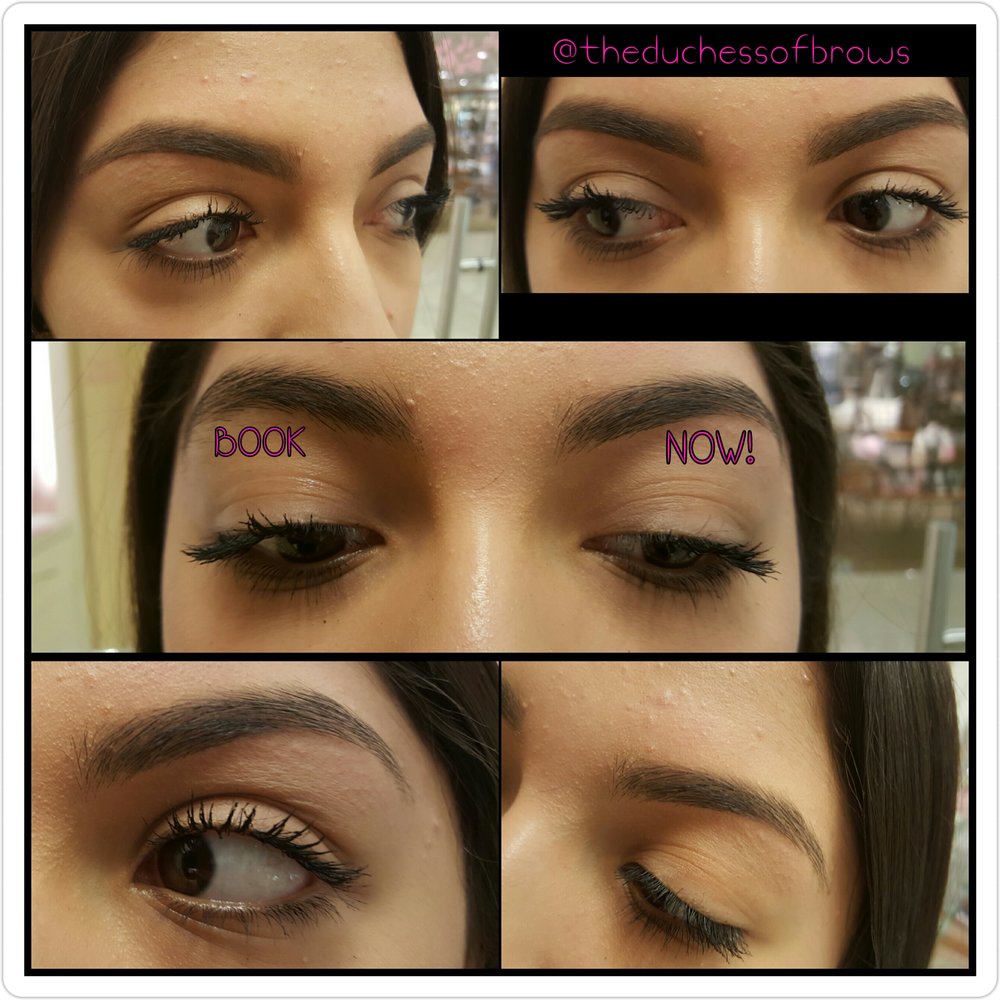 The Duchess of Brows Studio Logo