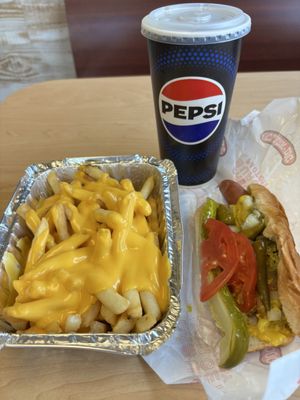 Clark Street Dog by null