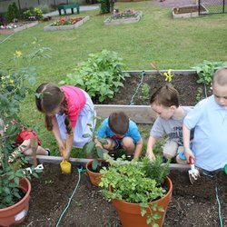 Sunny Grove Preschool and Childcare Center