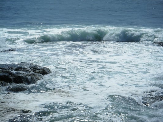 Beavertail State Park by null