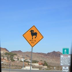 Boulder City Chamber of Commerce - And they mean it!